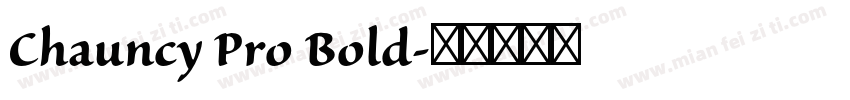 Chauncy Pro Bold字体转换